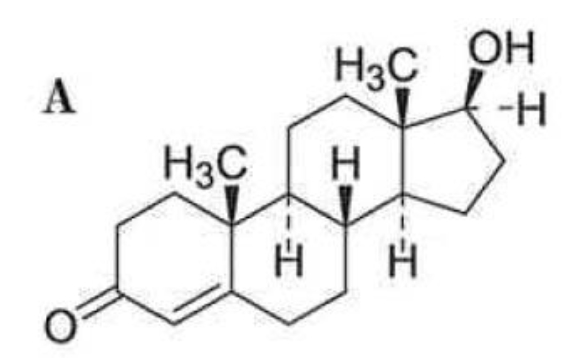 ステロイドの置換基の立体,α・β配置とは 93回薬剤師国家試験問15a